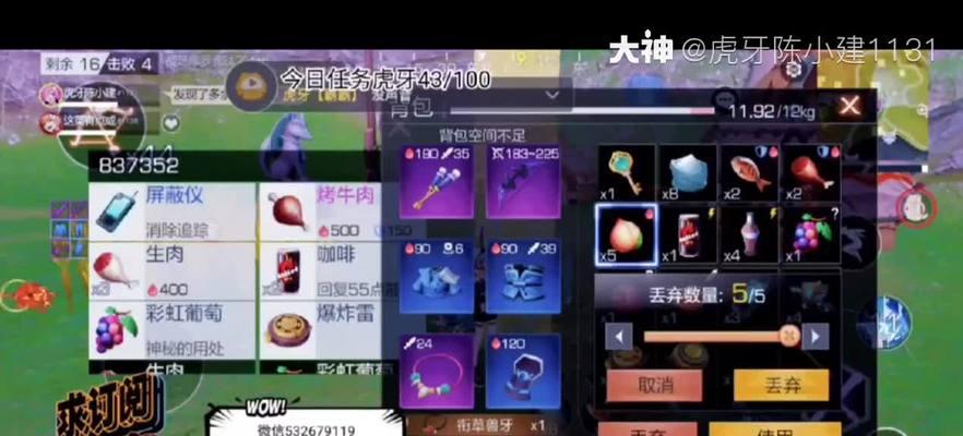 《风云岛》阿丽技能天赋详解（探究阿丽的玩法，发掘技能天赋的秘密）