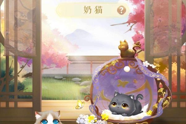 《灵猫传花笺》（玩家必知！轻松获得花笺与提升等级方法大揭秘）