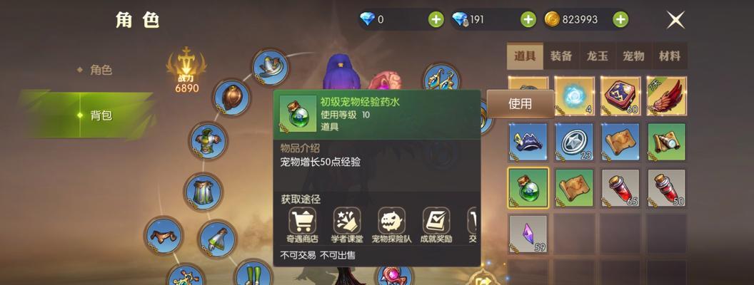 龙之谷2牧师二转选择攻略（从职业定位到技能选择，教你打造强力牧师）