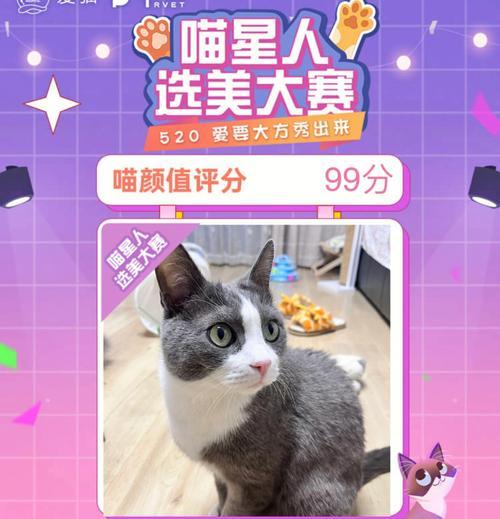 《小森生活猫咪选美大赛》——用游戏来呈现猫咪的美丽（玩转选美大赛，发掘猫咪的独特魅力）