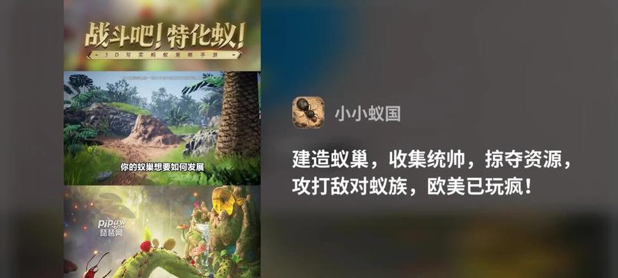 小小蚁国野怪升星养成攻略（从零开始，打造一支强大的战斗队伍）