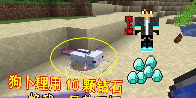 《我的世界》美西螈驯服抓取方法详解（以游戏为主）