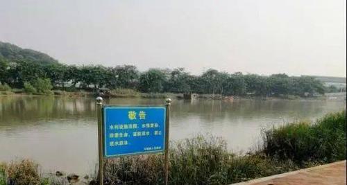 《河堤战士》攻略与玩法详解（打造你的农场帝国）
