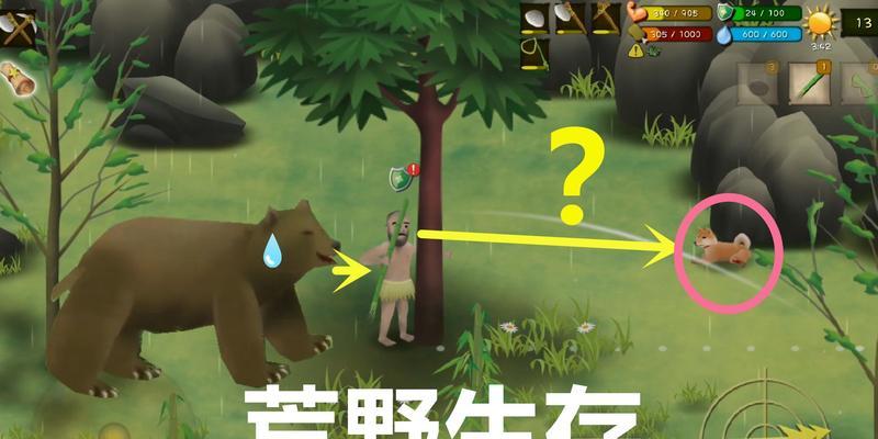 荒野求生（探索野外美食，挑战自我生存能力）