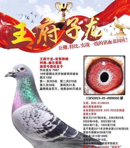 苍蓝誓约赫尔曼玩法攻略（探索赫尔曼的获取方法与战舰建造技巧）