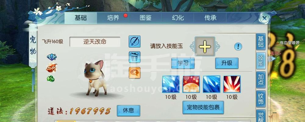 《诛仙手游天华技能介绍》（探索仙侠世界）