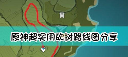 原神竹节在哪（让你轻松找到元神竹节）