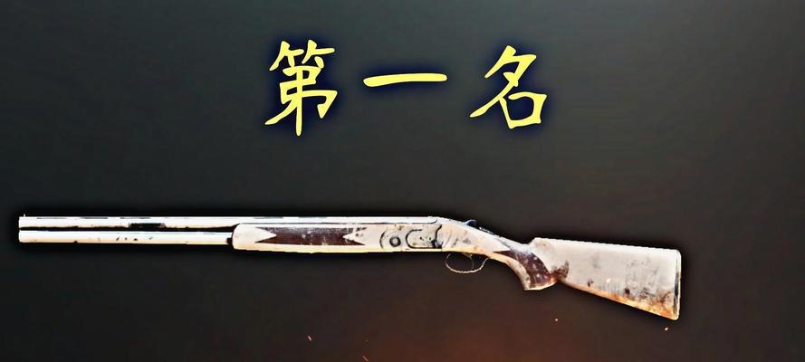 废土行动（如何有效修复和维护你的枪械）