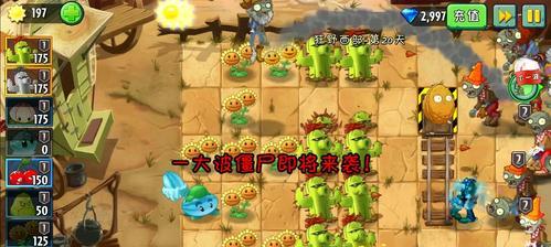 如何在《植物大战僵尸2》天空之城第14天成功通关？通关技巧有哪些？