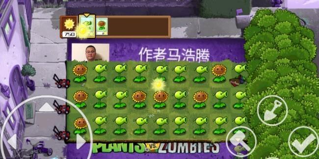 《植物大战僵尸》全面冻结通关方法是什么？