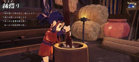 《天穗之咲稻姬》中水稻种植技巧是什么？遇到问题如何解决？