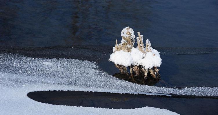羊毛地毯能否覆盖水面？在《我的世界》中如何实现？