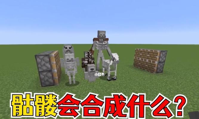 我的世界骷髅战斗怪物学院如何制作？