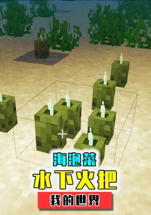 迷你世界染料制作方法有哪些？如何选择合适的染料？