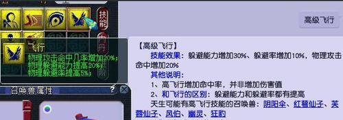 梦幻西游套装飞行功能如何启用？