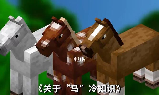 我的世界中如何获得马？获得马后有哪些有趣的玩法？