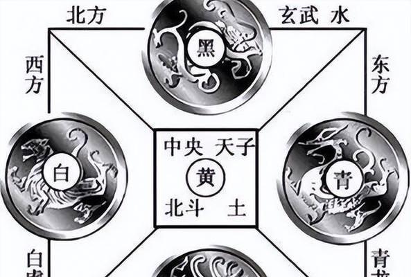 白虎朱雀选择建议是什么？