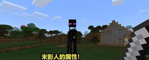 末影人在我的世界中如何有效捕捉？