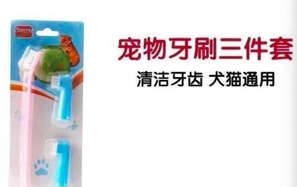 《猫好货坏》为何获得好评？游戏体验如何？