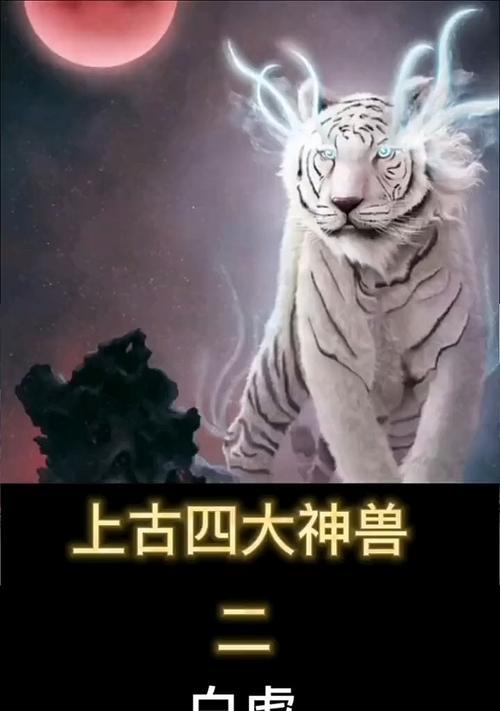 白虎朱雀在战斗中的优势是什么？