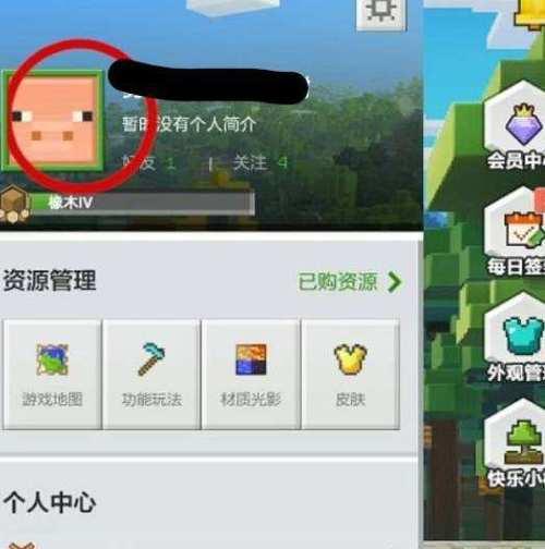 我的世界中如何取一个好名字？