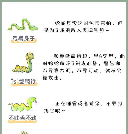 风蛇学习撕咬技能的条件是什么？