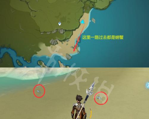 原神中螃蟹估号位置在哪？如何找到？