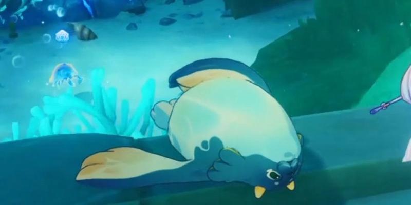 原神海豹出现的地点有哪些？如何找到海豹？
