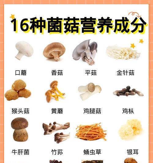 我的世界中蘑菇的正确吃法是什么？吃蘑菇有哪些好处？