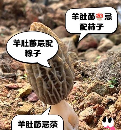 我的世界中蘑菇的正确吃法是什么？吃蘑菇有哪些好处？
