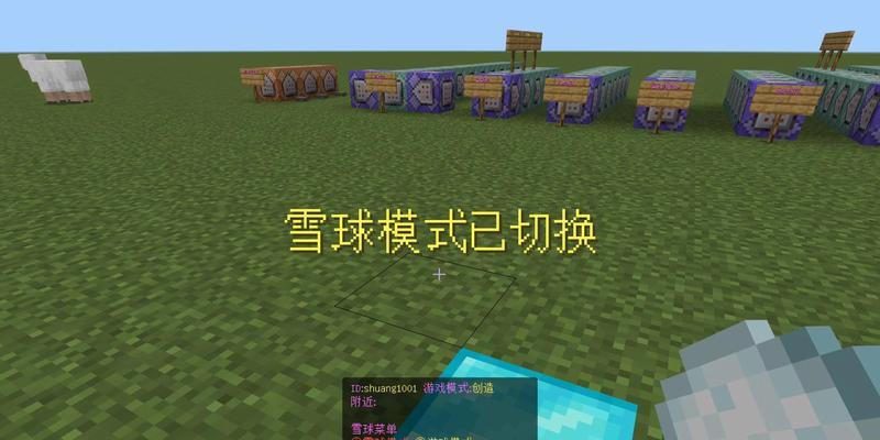 radmin在Minecraft中的应用是什么？如何使用radmin进行游戏？