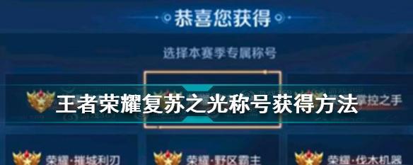 诸城王者荣耀中有哪些特殊称号？如何获得这些称号？