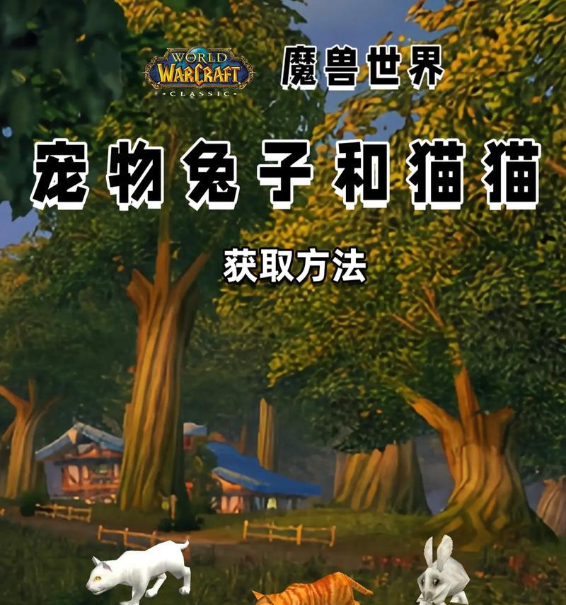 魔兽世界宠物怎么得到？获取方法有哪些？