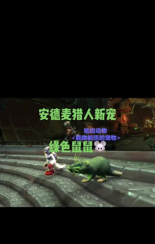 魔兽世界宠物怎么得到？获取方法有哪些？