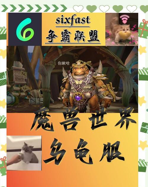 魔兽世界乌龟服购买机器人的流程？