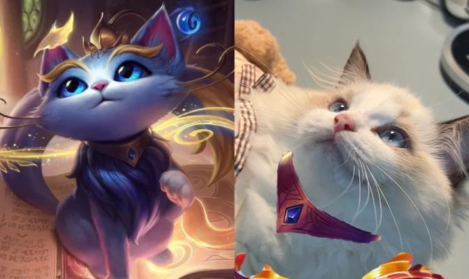 小猫在英雄联盟中的玩法是什么？小猫的技能特点如何？