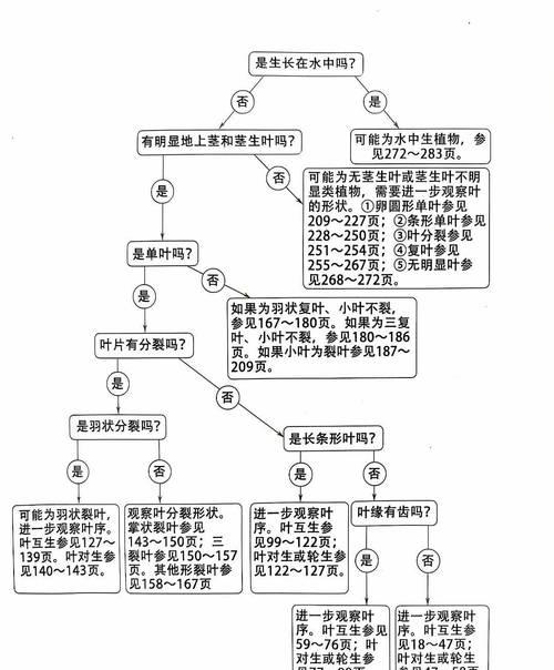挖草技能遗忘后如何重新学习？遗忘技能的影响是什么？