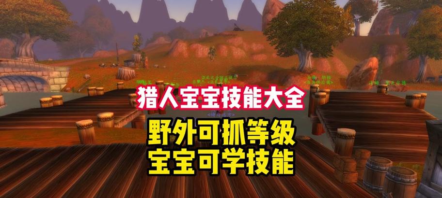 魔兽世界中猎人如何显示宠物的名字？