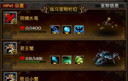 魔兽世界中血刺宠物对战的打法是什么？有什么策略？