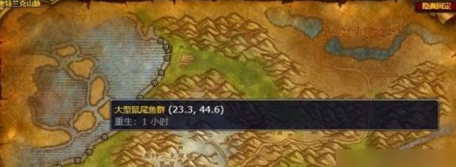 在魔兽中钓巨型鱼的技巧有哪些？