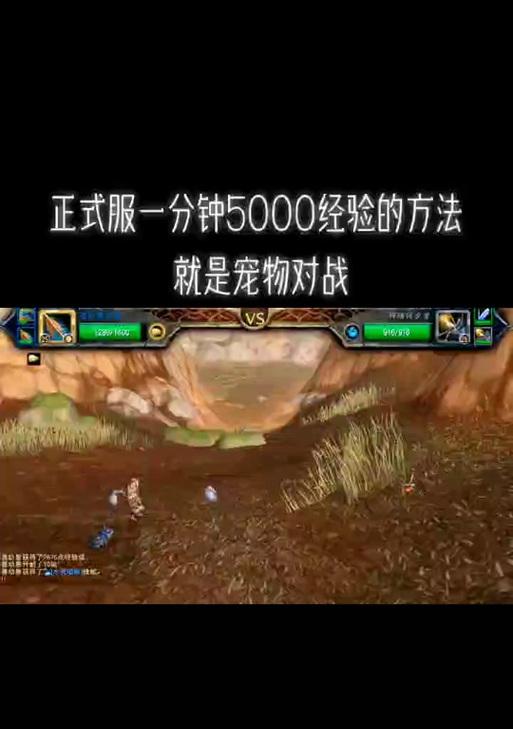 魔兽世界宠物对战退出方法？退出后如何重新进入？