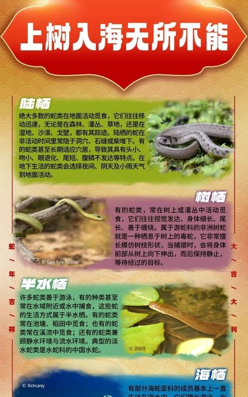 英雄联盟中老蛇英雄的真实名称是什么？