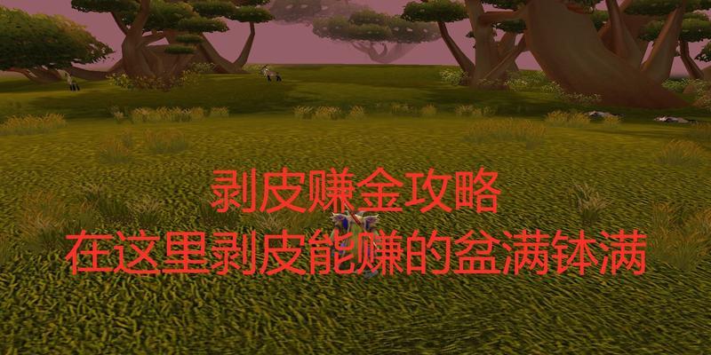 在魔兽世界中剥皮最快的方法是什么？