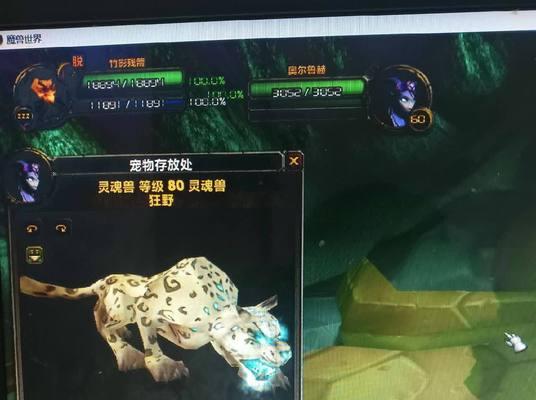 魔兽世界狼灵魂宝宝获取方法是什么？