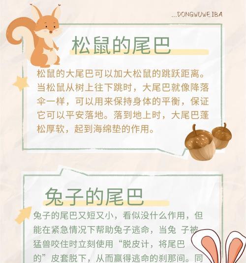 路上尾巴的含义和作用是什么？