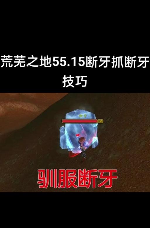 魔兽世界怀旧服伤逝获取方法？伤逝装备的掉落位置在哪里？