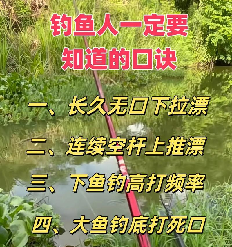 精确甩竿到鱼群的技巧是什么？