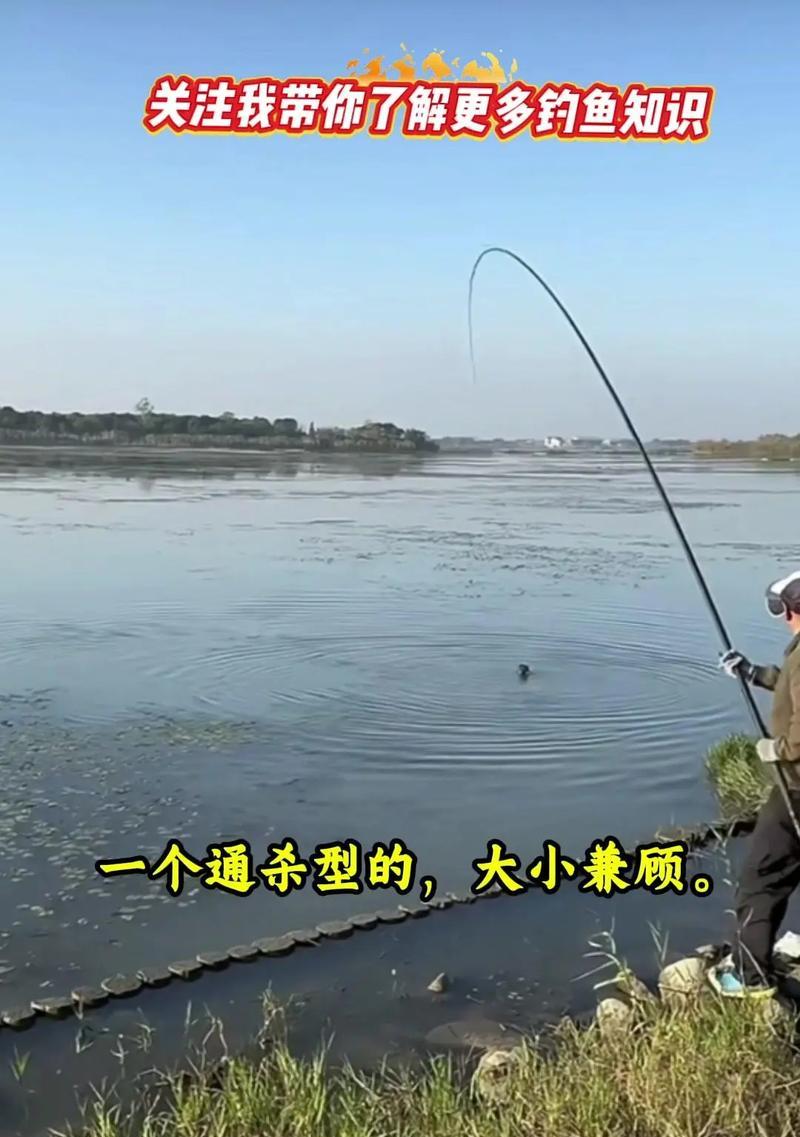 精确甩竿到鱼群的技巧是什么？