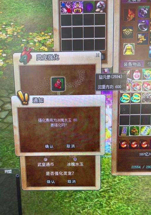 热血江湖中宠物属性如何选择？