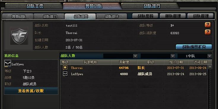 CF中如何隐藏战队信息？隐藏后对游戏体验有何影响？